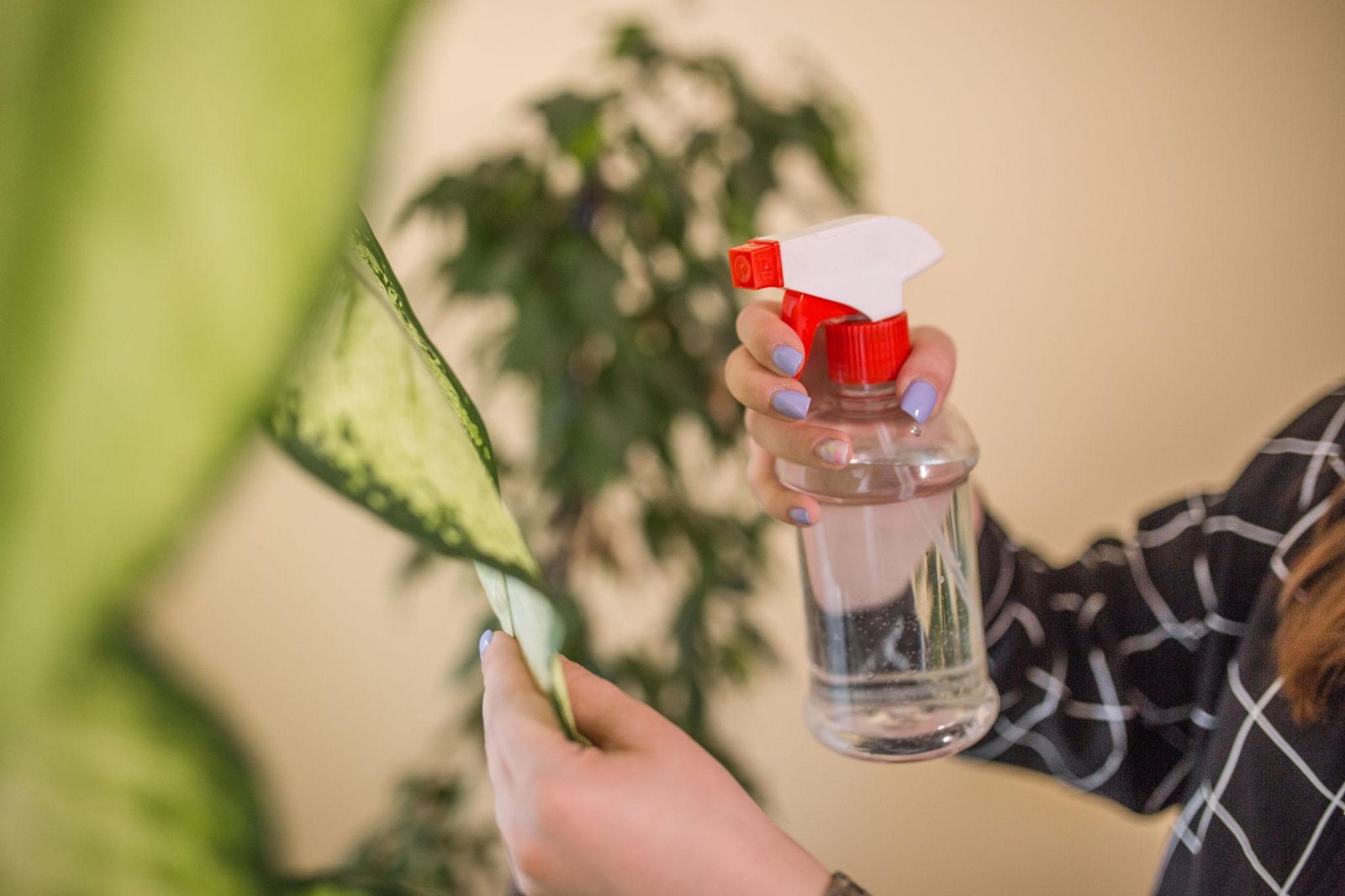 Applying a targeted spray treatment to plant foliage