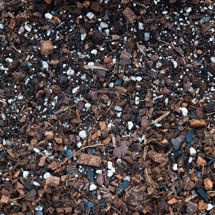 Custom soil mix for aroids and begonias